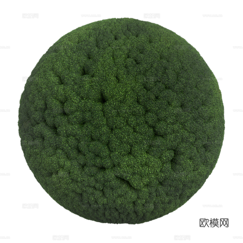 苔藓青苔 PBR贴图 2k