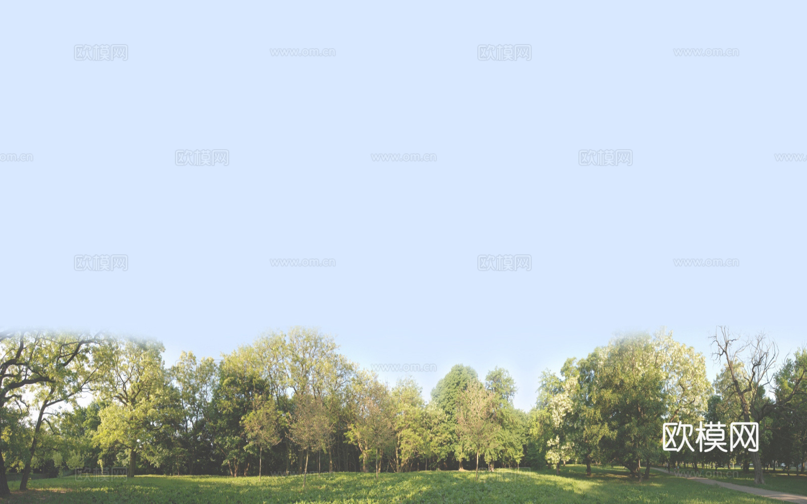 现代其它外景_外景_树_窗外树_晴朗天空_树木森林