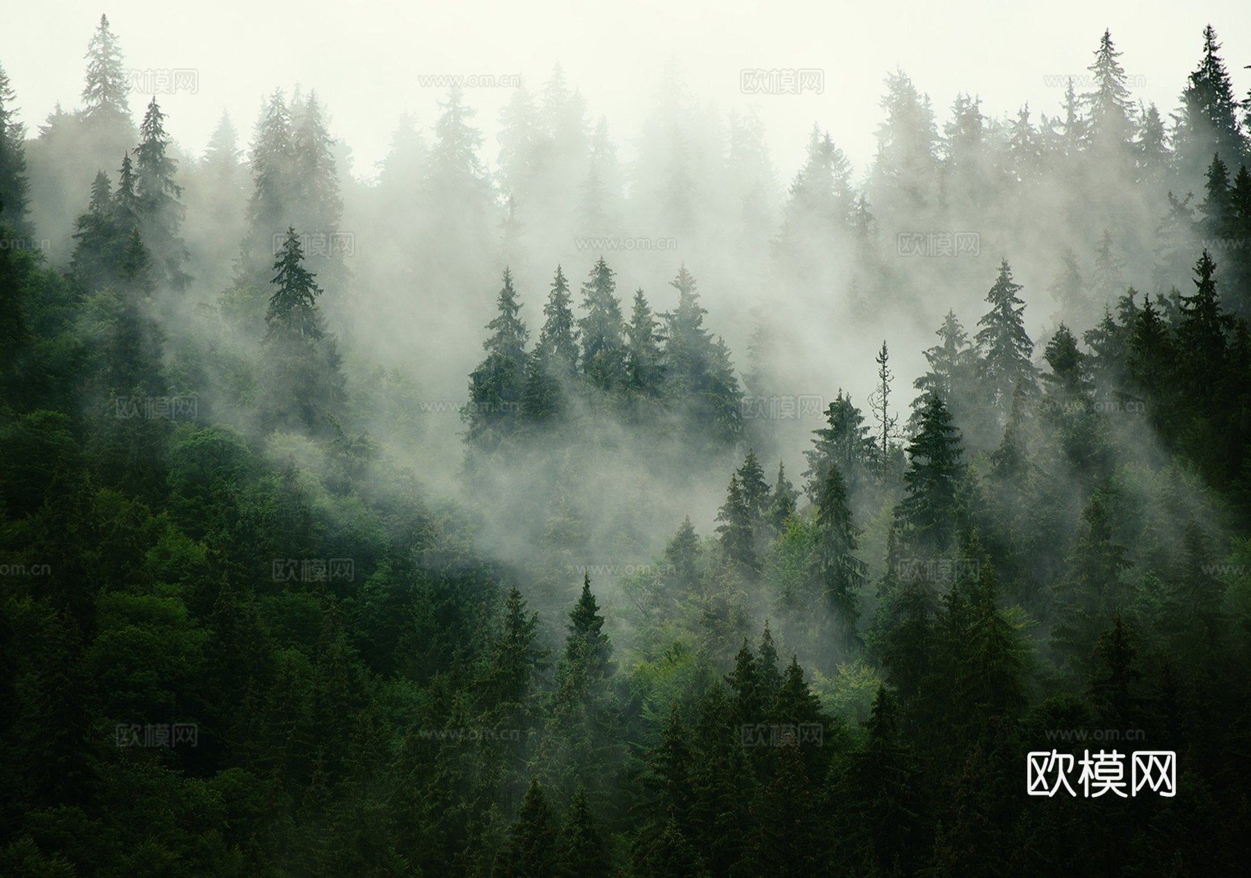 云雾森林外景_山水风景中式外景_山区云雾外景贴图