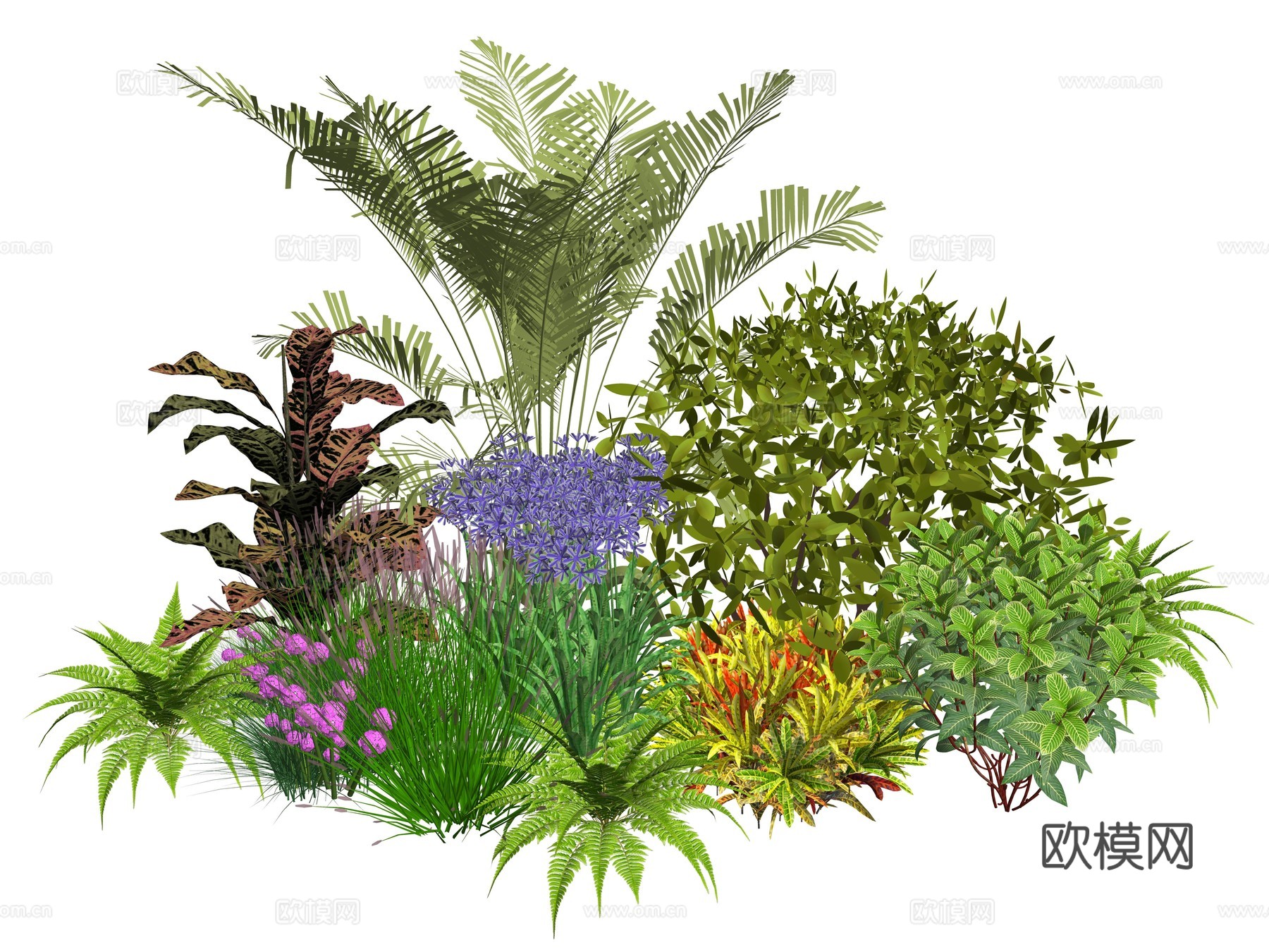 现代庭院小院植物堆植物景观组合su模型