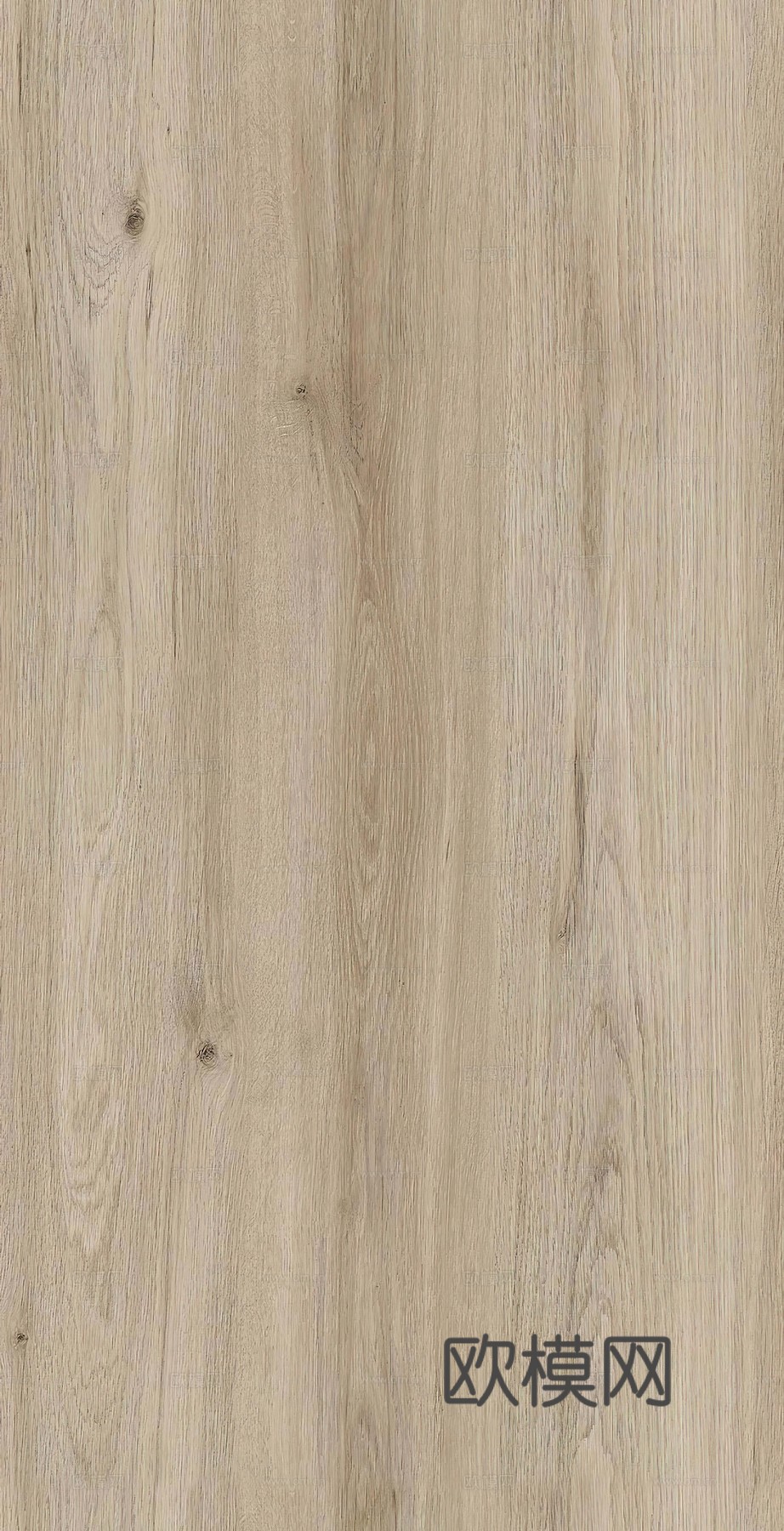 无缝橡木木纹下载
