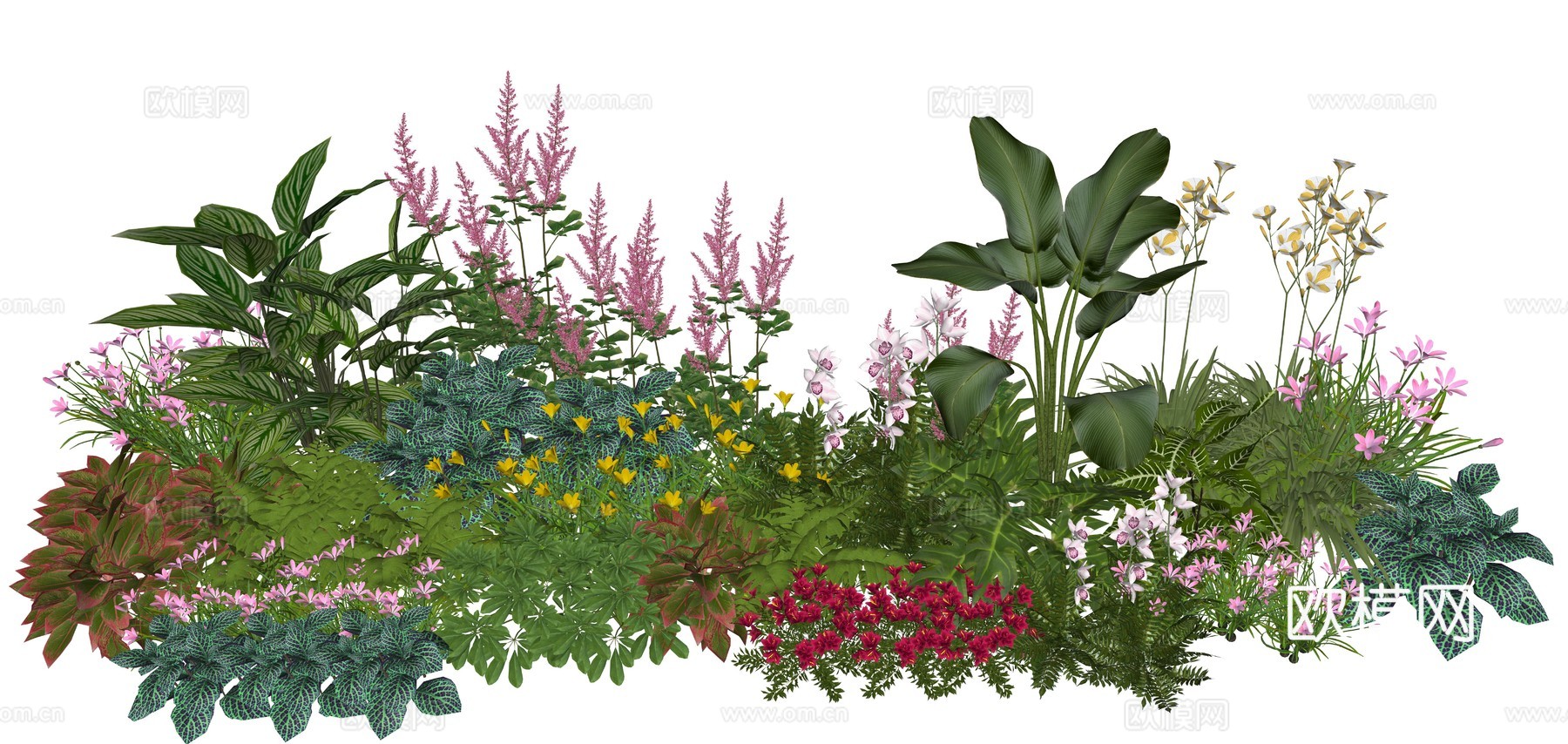 现代庭院小院植物堆植物景观组合su模型
