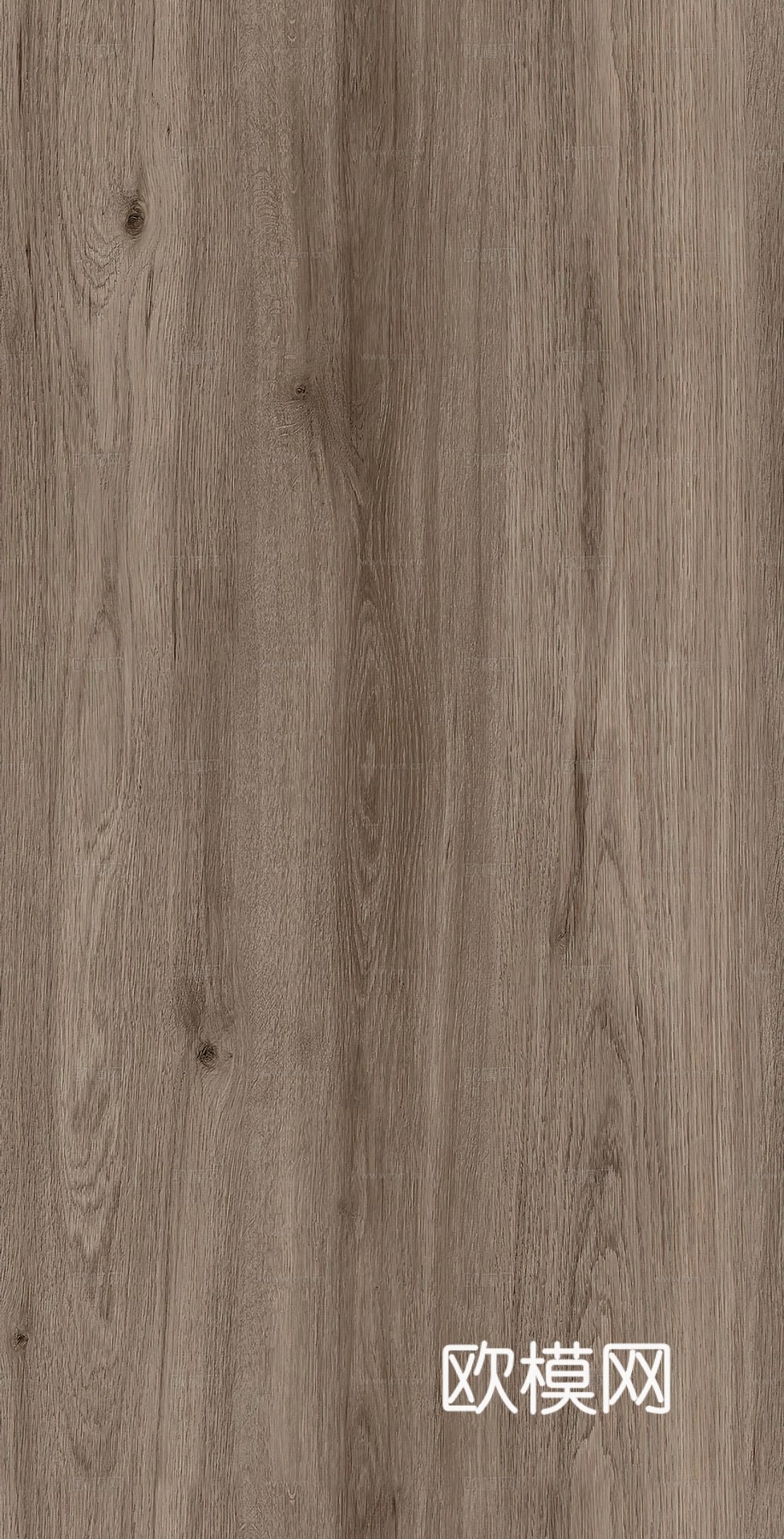 无缝橡木木纹下载