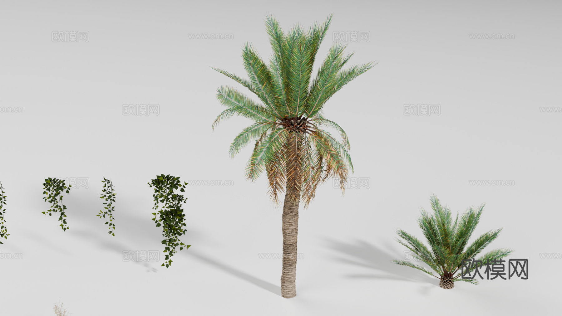 棕榈树 热带植物 藤蔓 枯草su模型