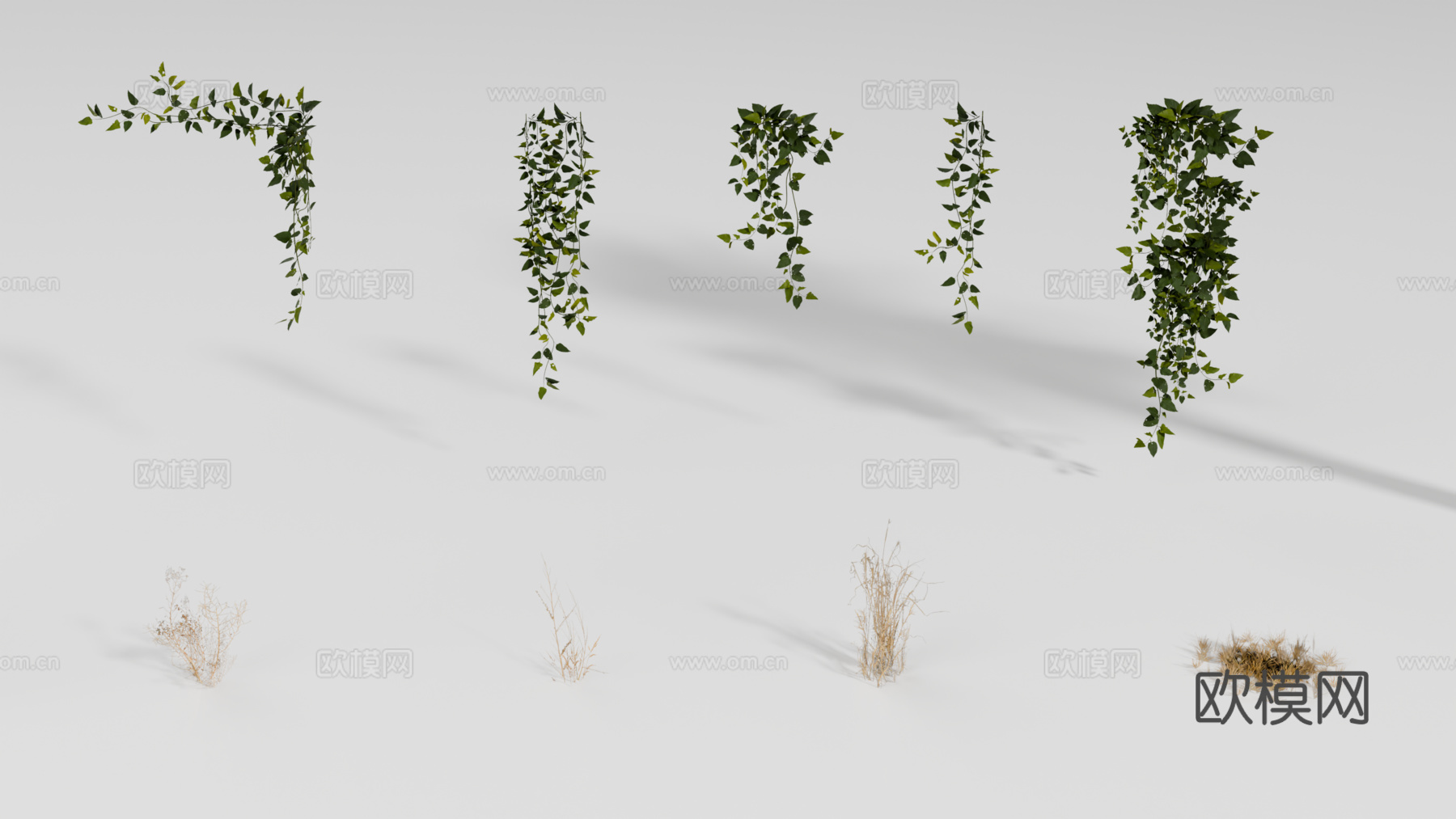 棕榈树 热带植物 藤蔓 枯草su模型
