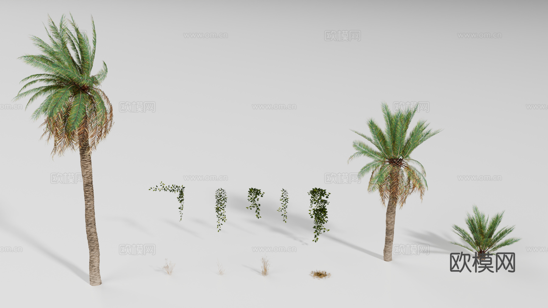 棕榈树 热带植物 藤蔓 枯草su模型