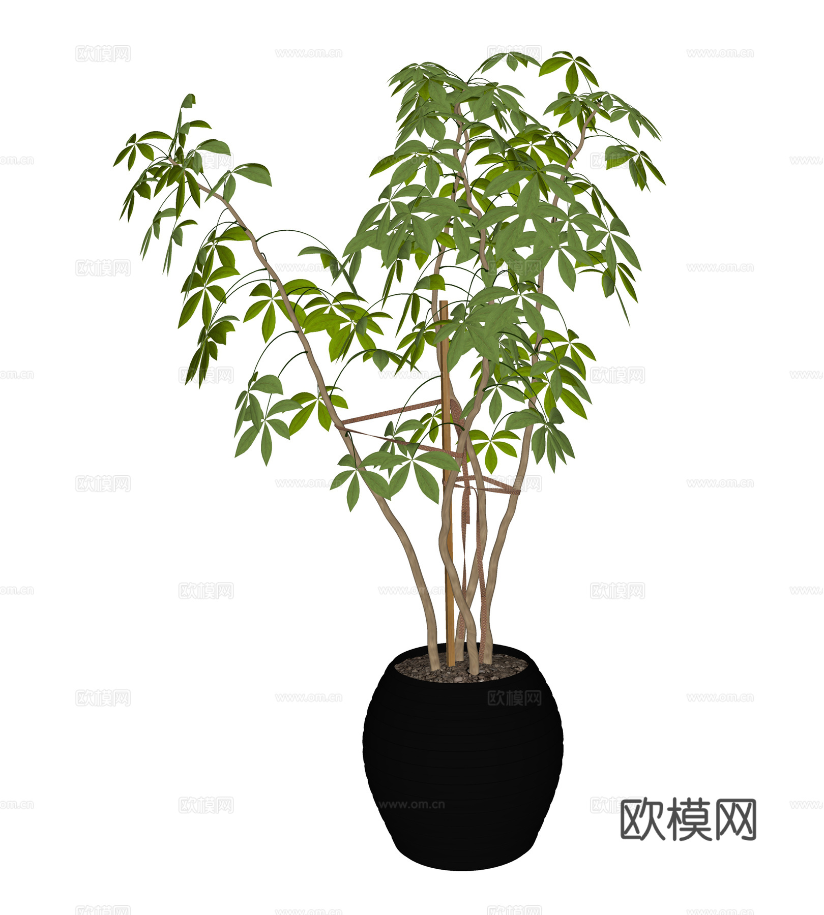现代盆栽 盆景盆栽  室内绿植  观赏植物su模型