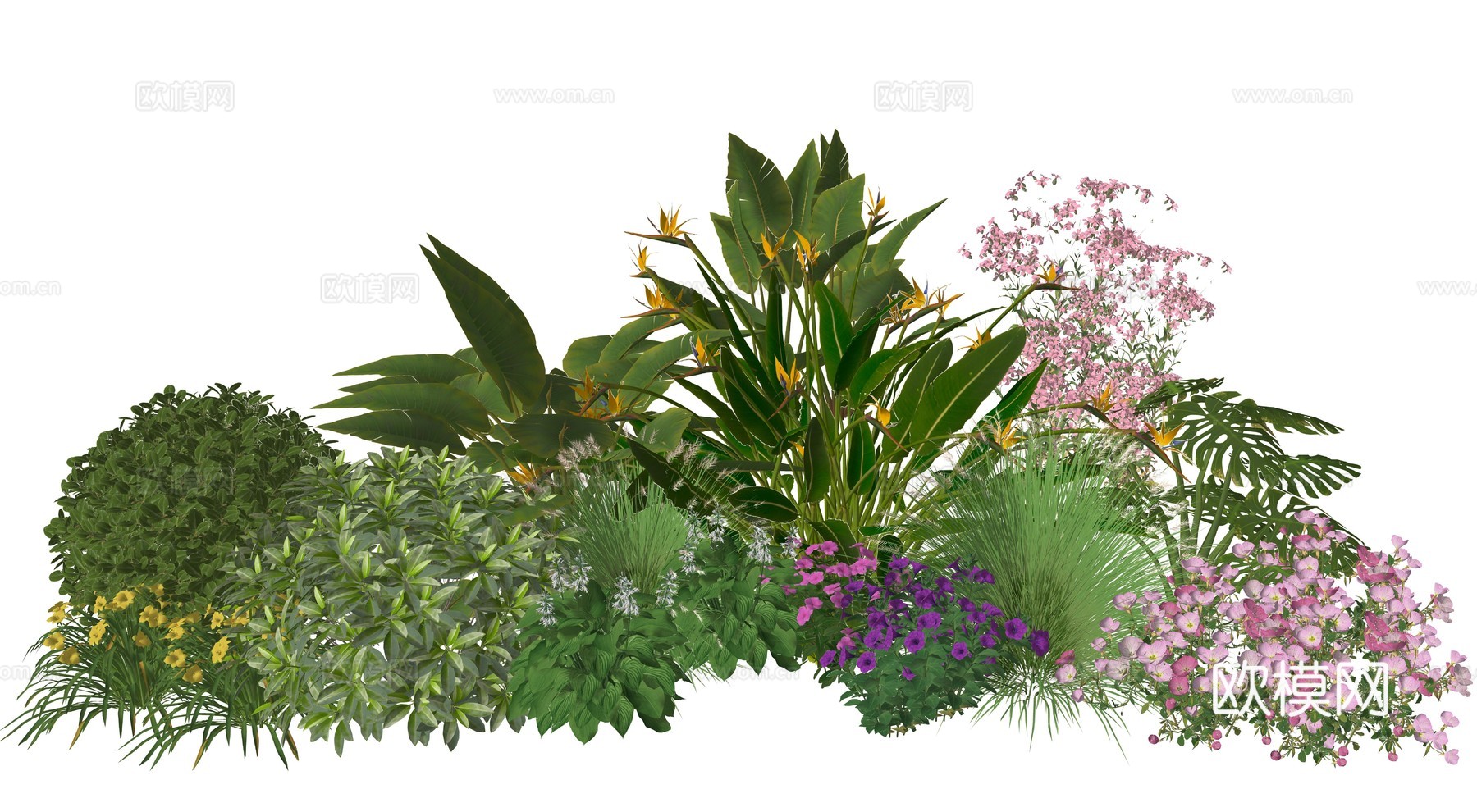 现代庭院小院植物堆植物景观组合su模型