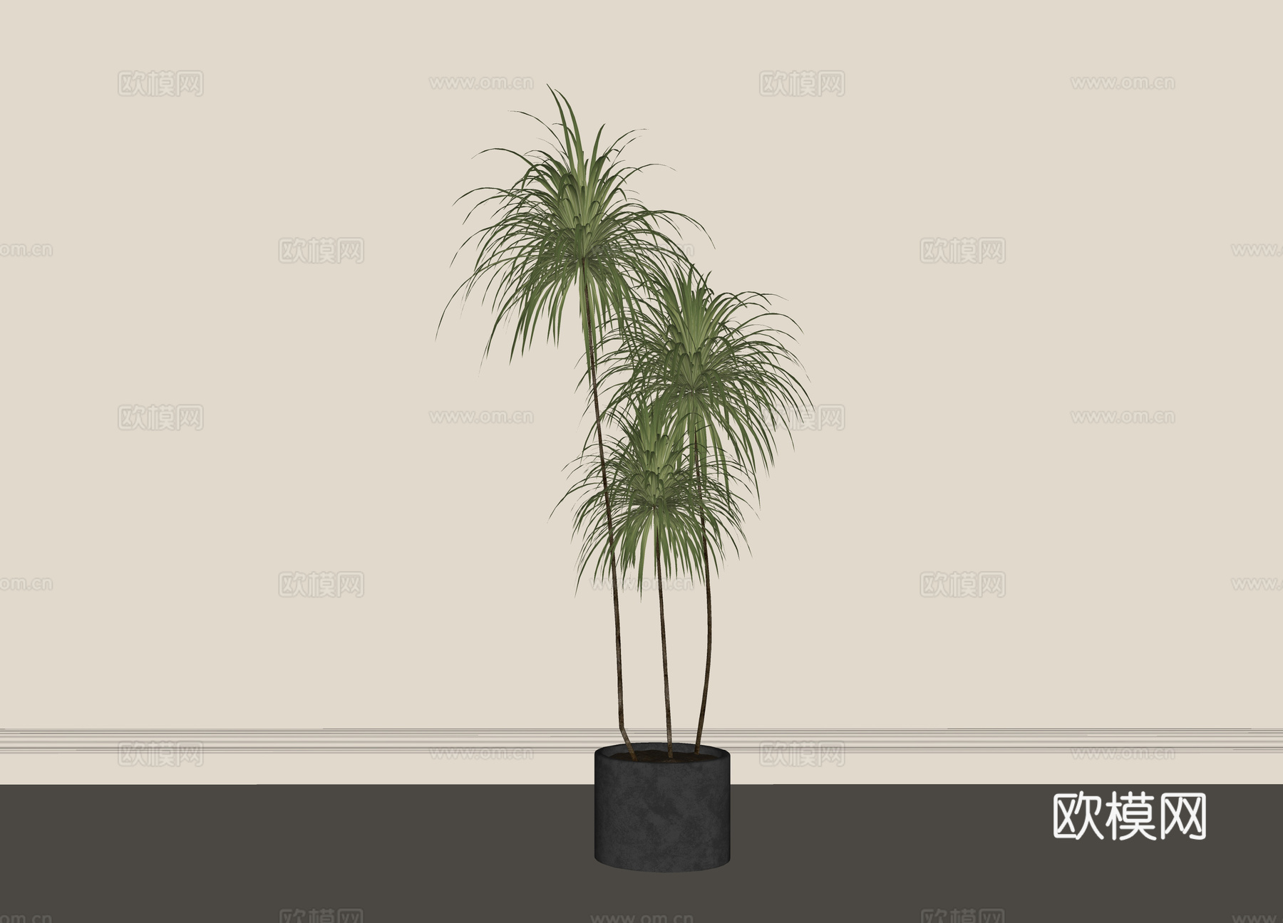 现代盆栽盆景 绿植 植物摆件su模型