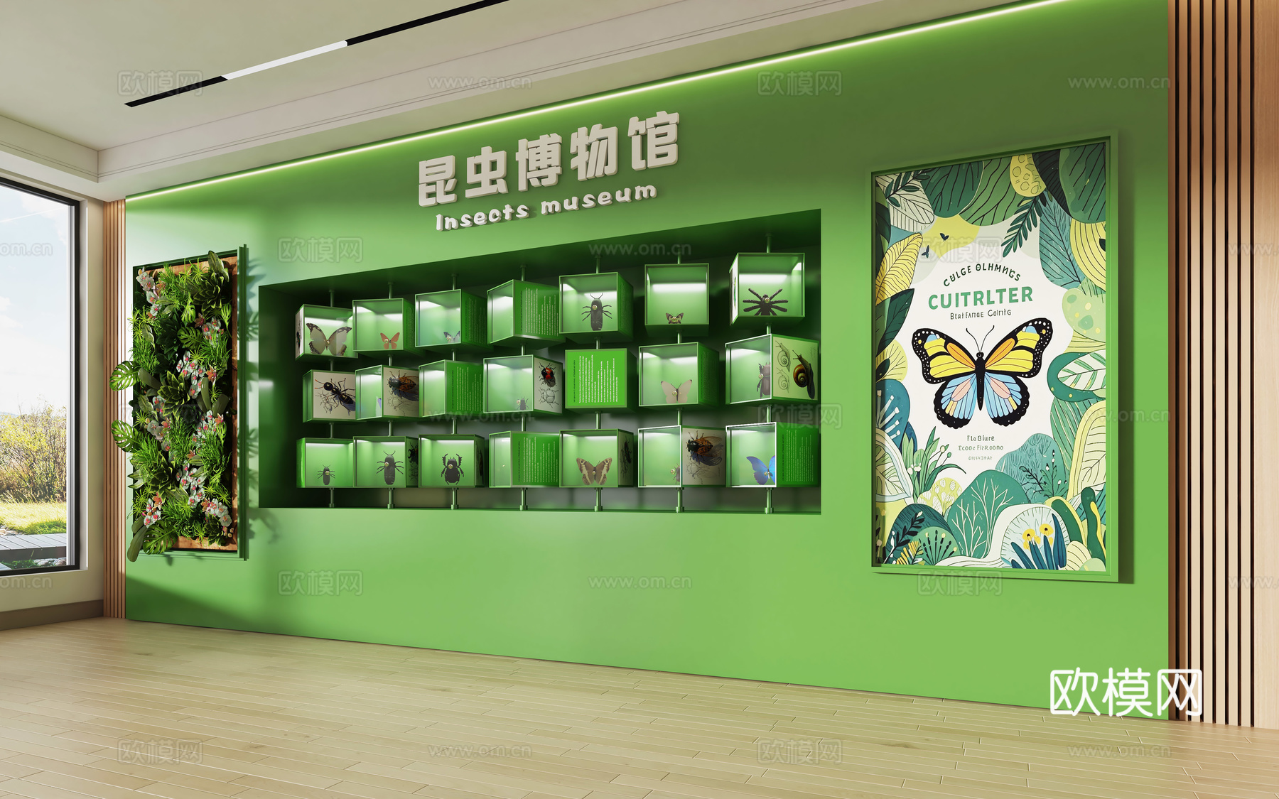 现代标本展示墙 昆虫标本墙 昆虫展览相框 科普标本 蝴蝶3d模型下载