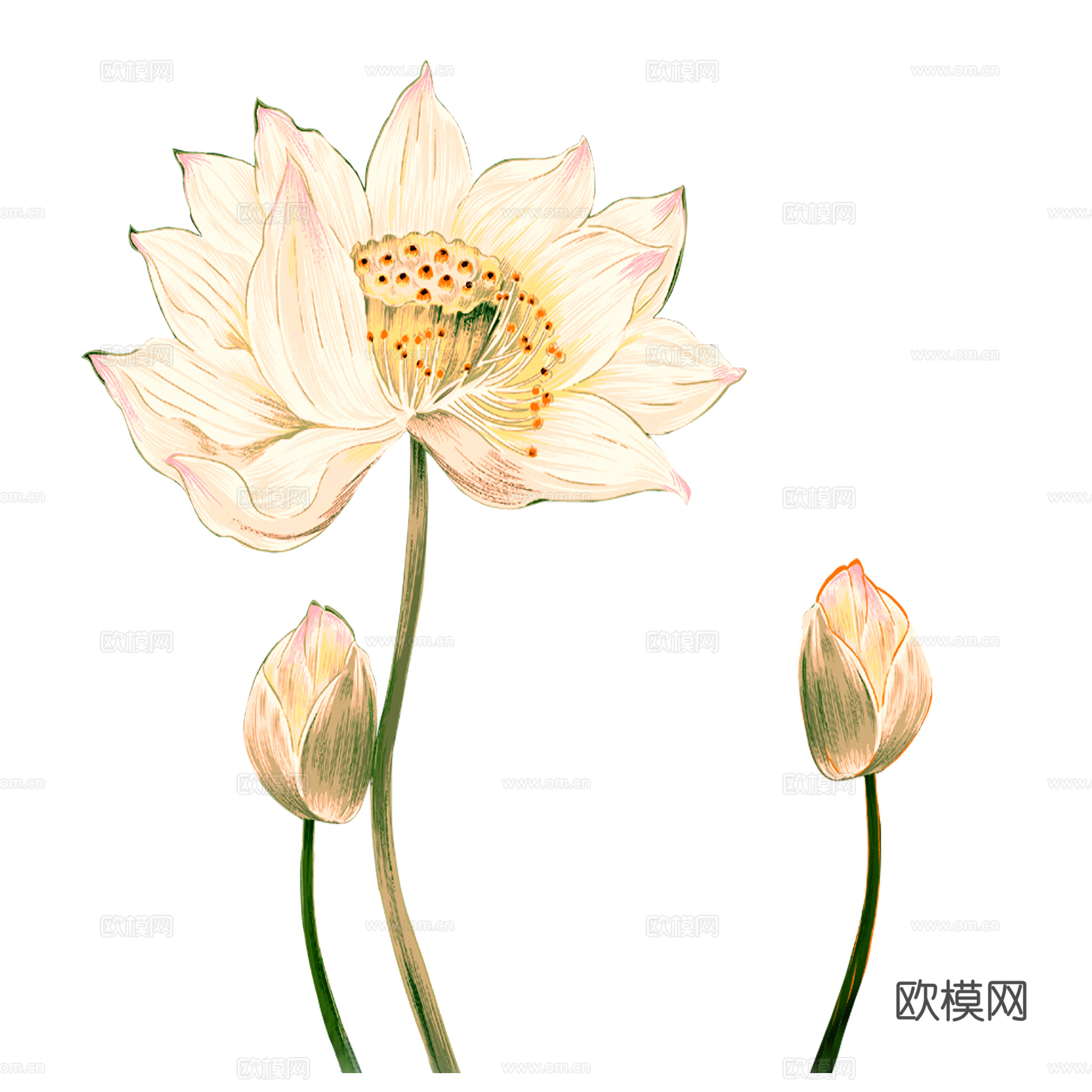 中式高清装饰画