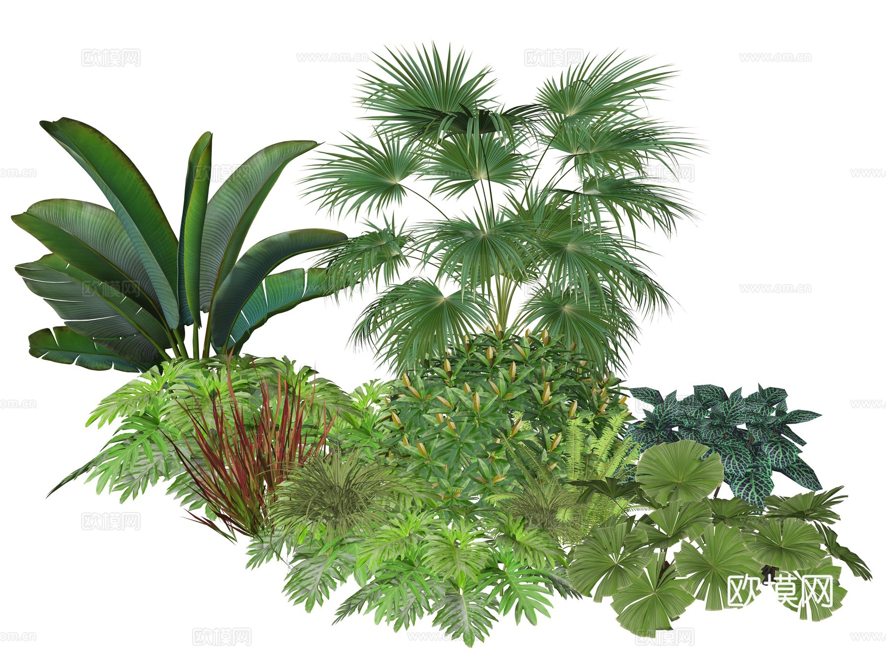 现代庭院小院植物堆植物景观组合su模型