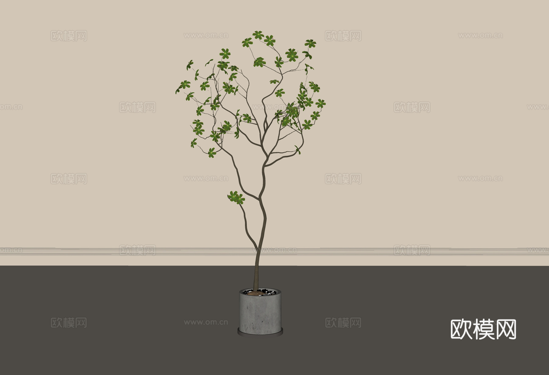 现代盆栽盆景 植物绿植su模型