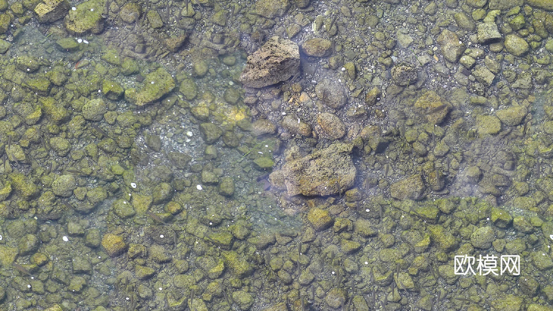 无缝水波纹水面水下鹅软石砾石碎石贴图