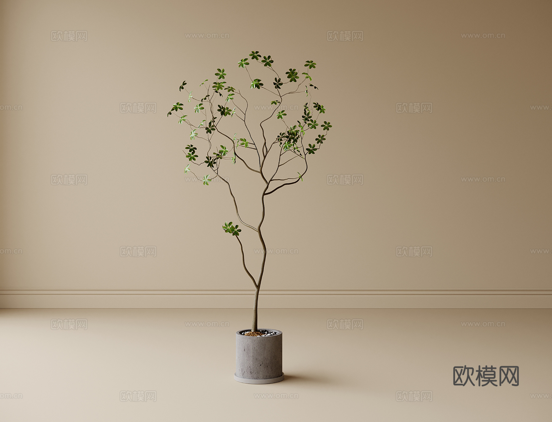 现代盆栽盆景 植物绿植su模型
