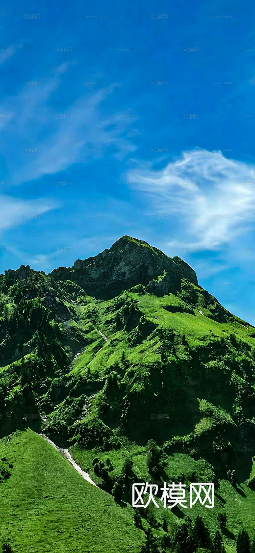 野外风景