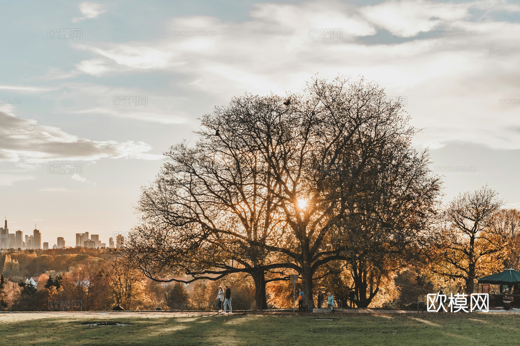 户外森林外景下载