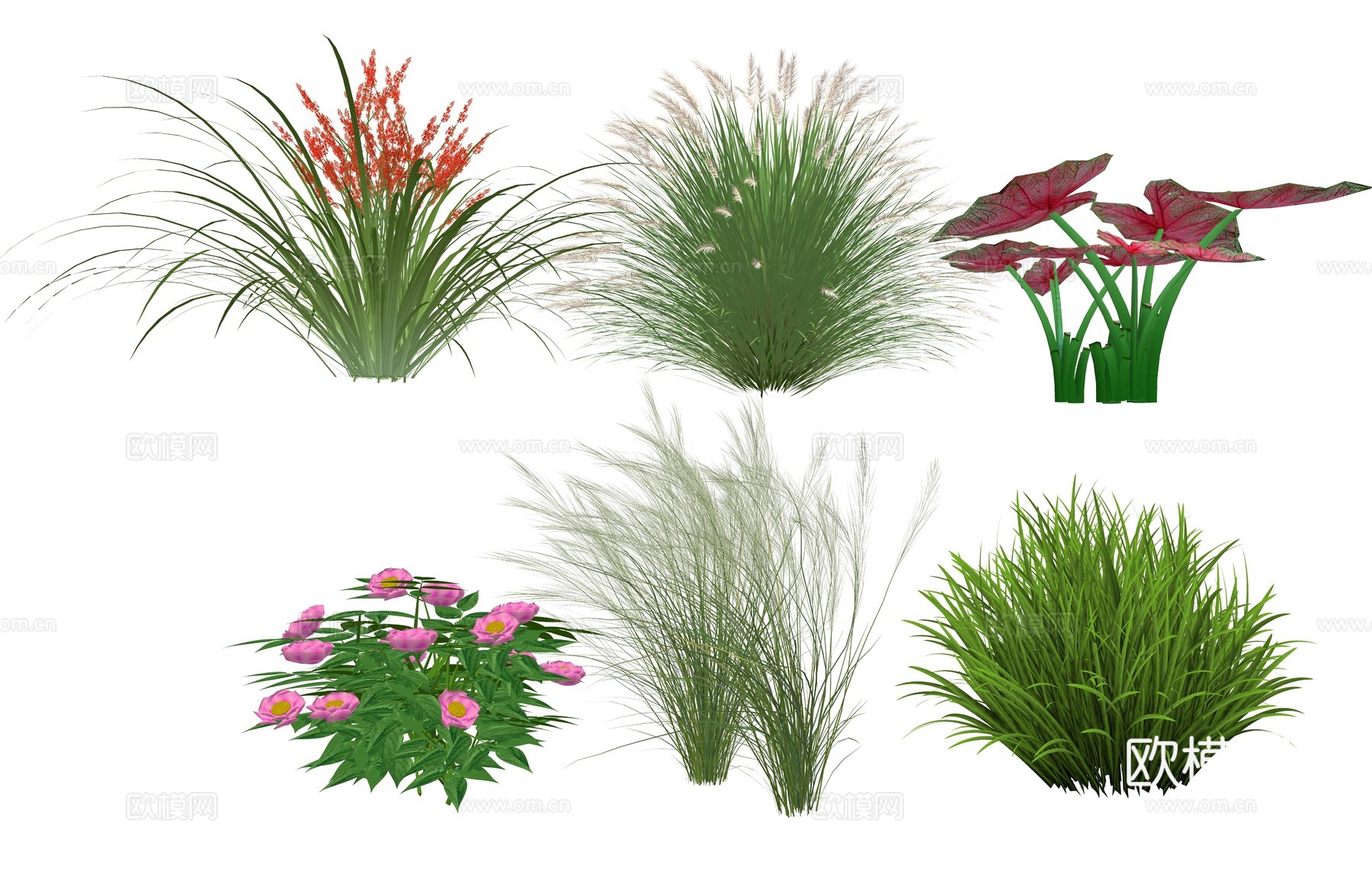 现代庭院花卉植物组合su模型
