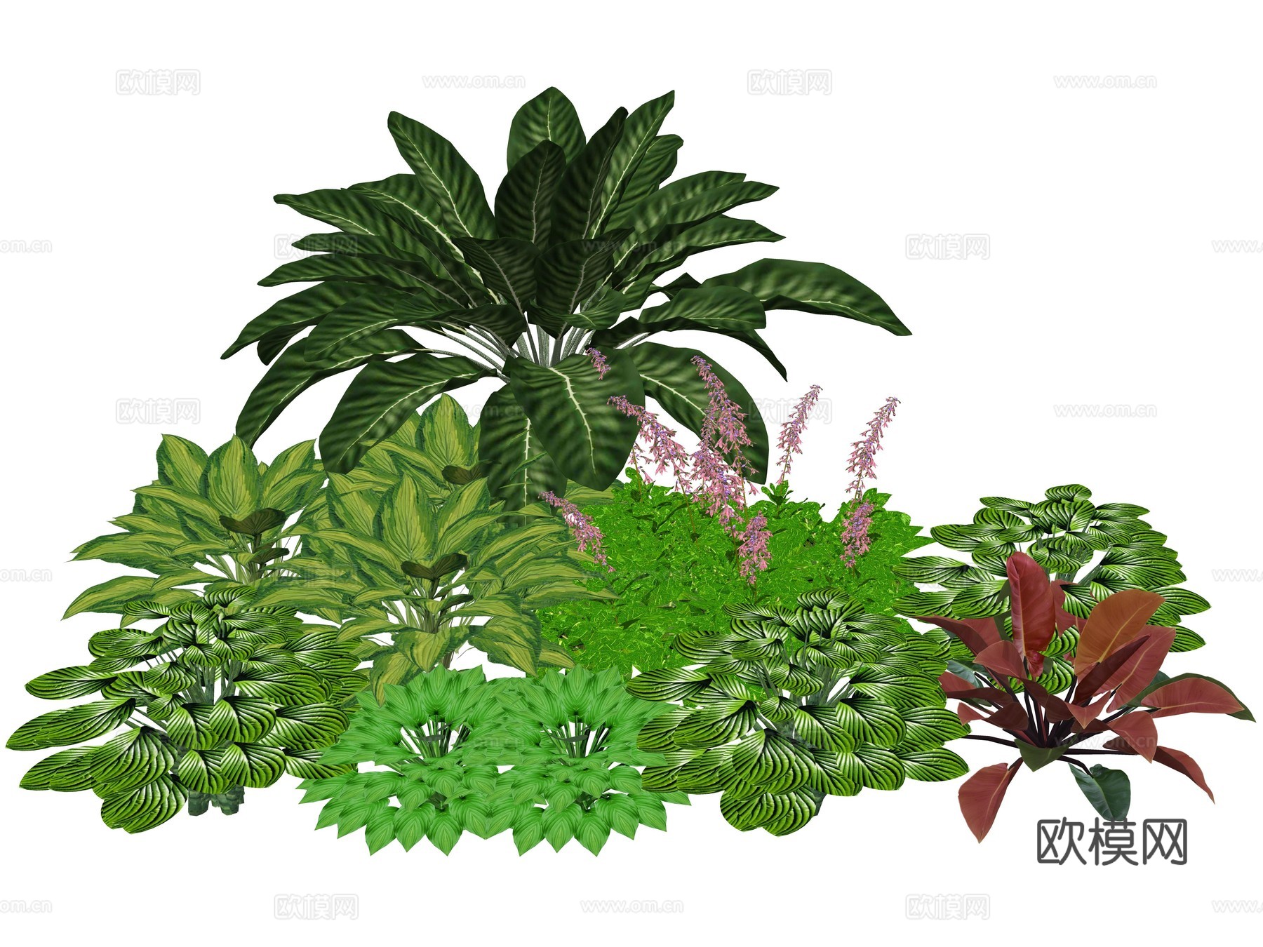 现代庭院花卉植物景观组合su模型