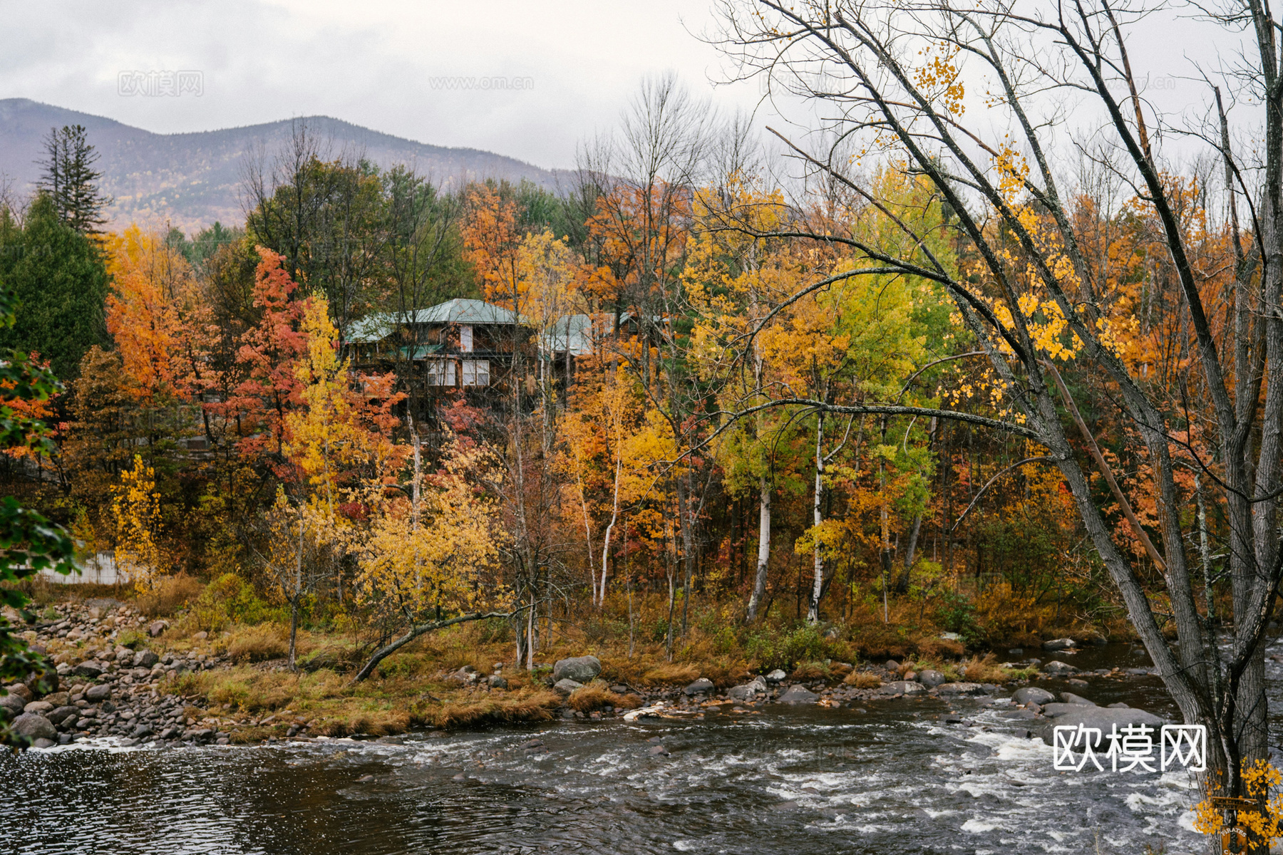 户外森林外景下载
