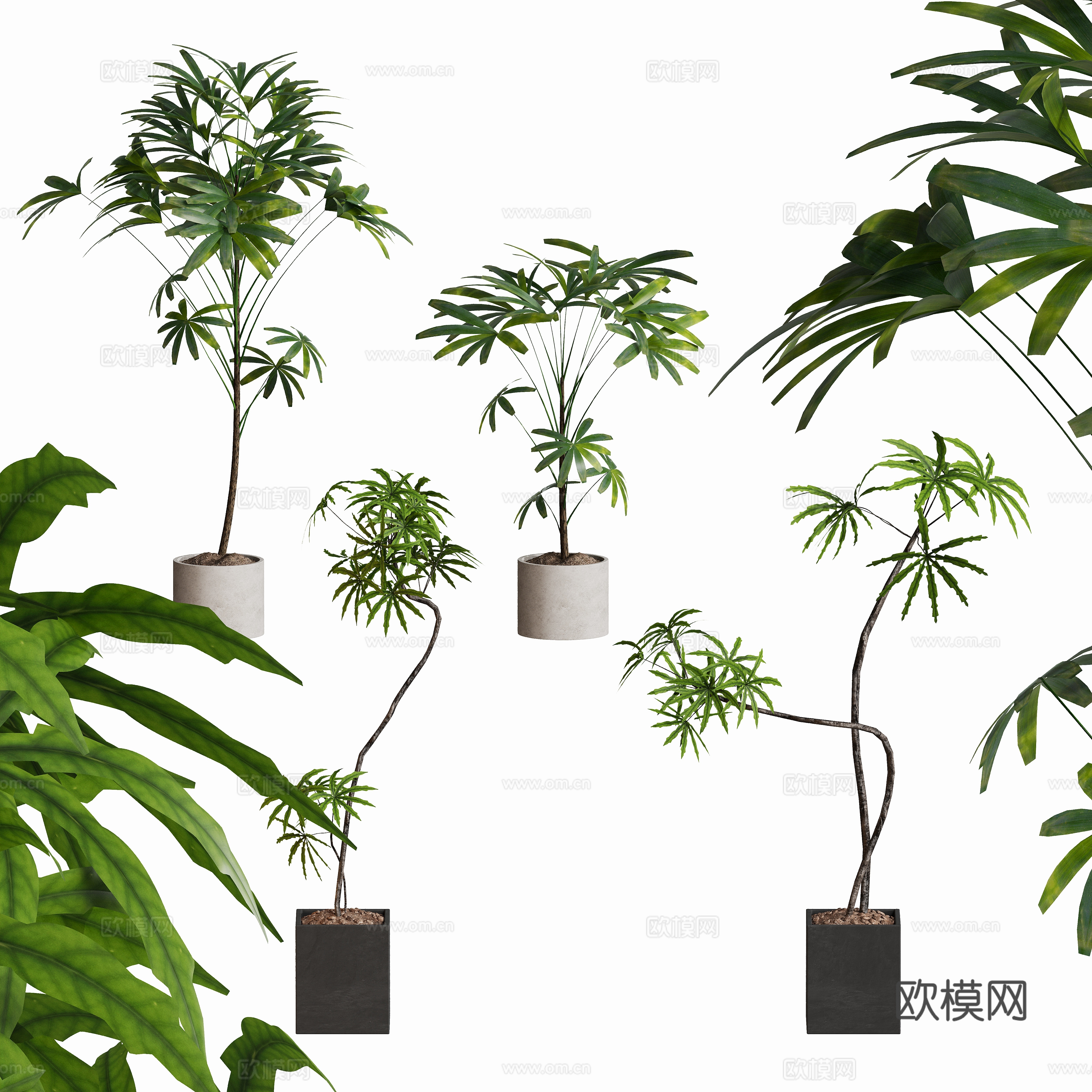 现代植物盆栽摆件su模型