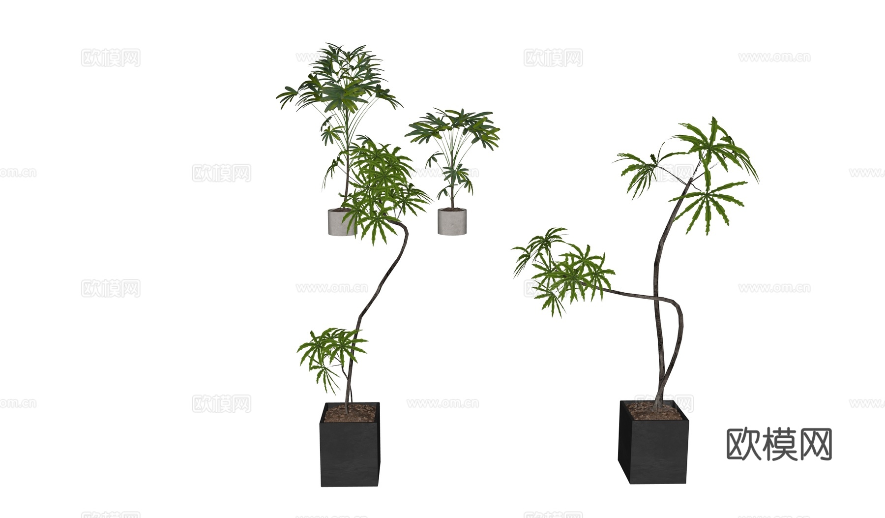 现代植物盆栽摆件su模型