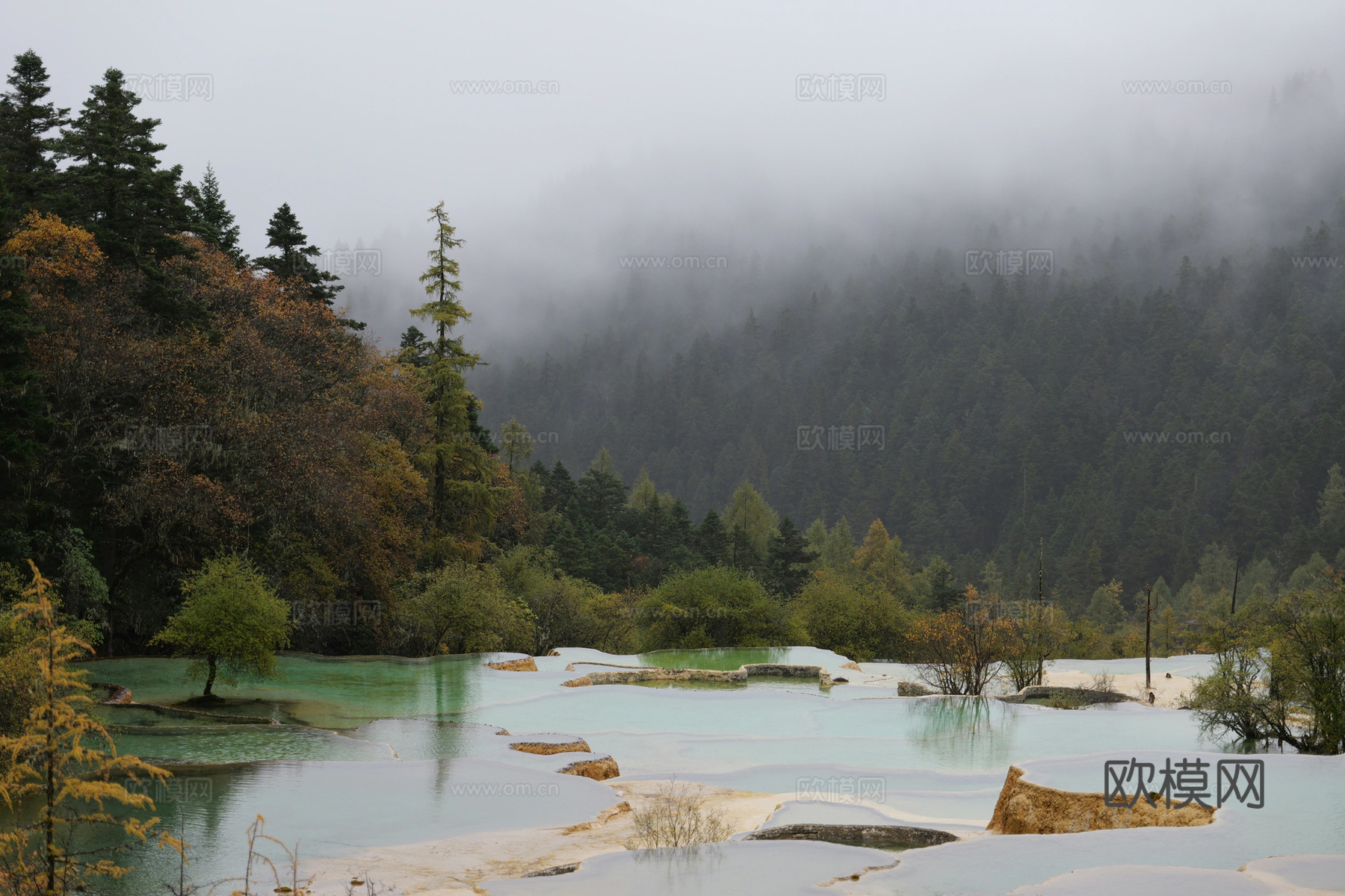 户外森林外景