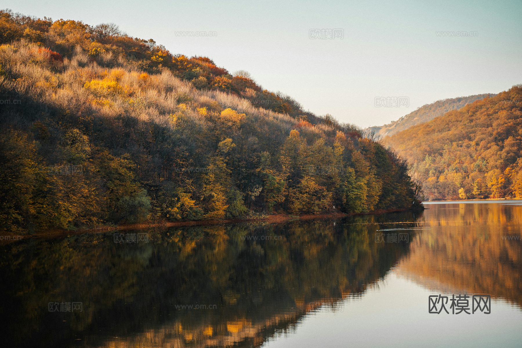 户外森林外景下载