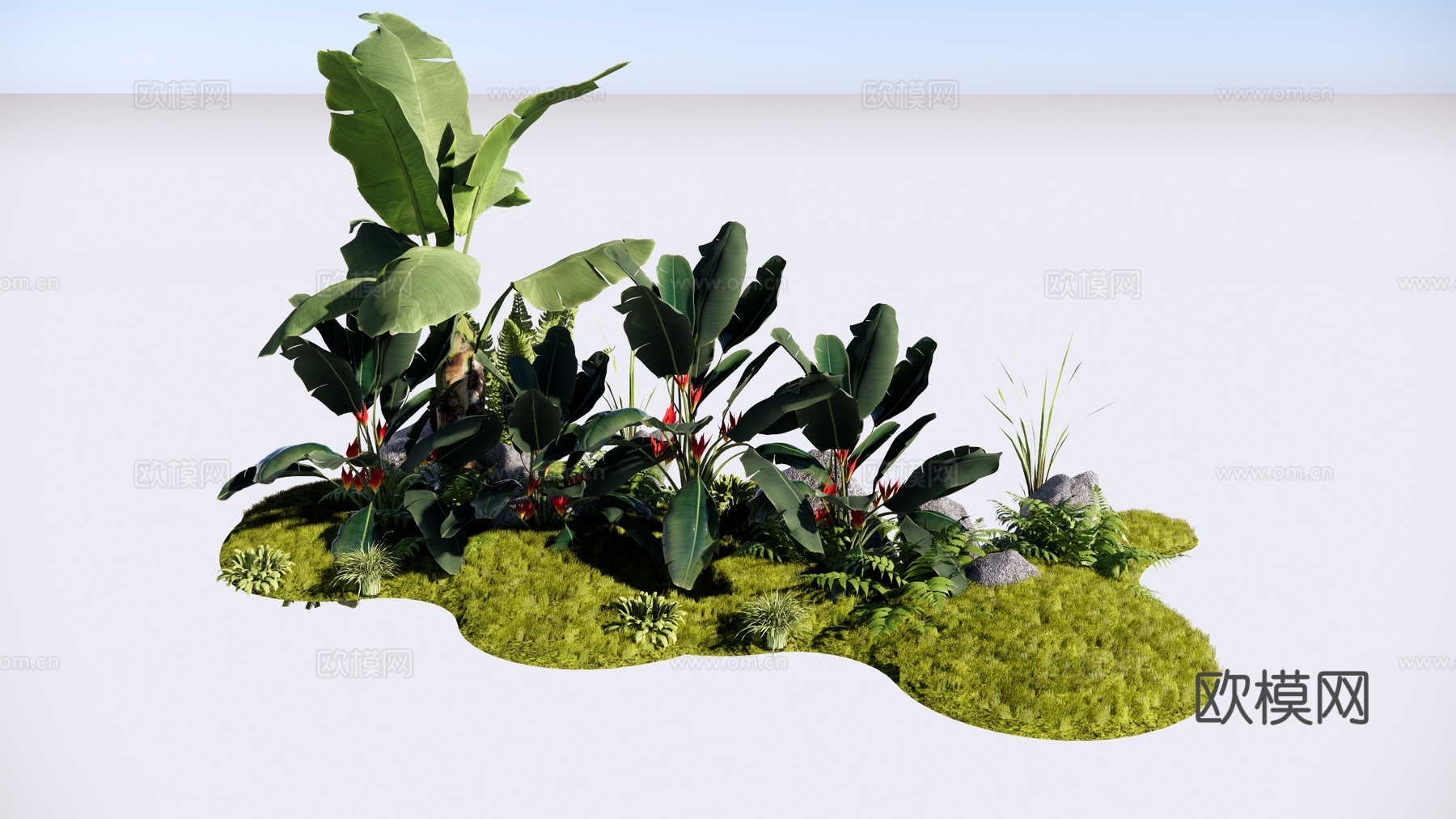 现代 芭蕉树 阔叶类植物组合 热带植物 景观造景 天堂鸟 蕨su模型