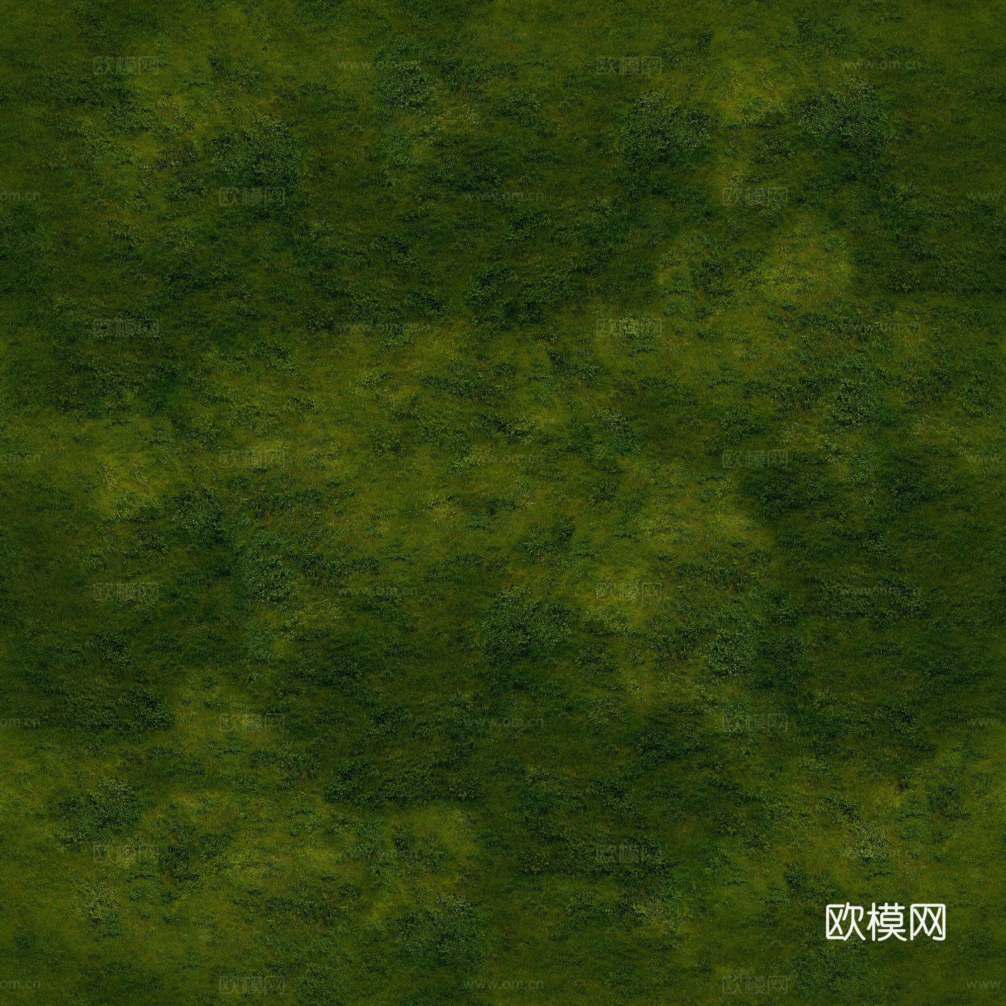自然纹理 地面 草皮 草坪 草地