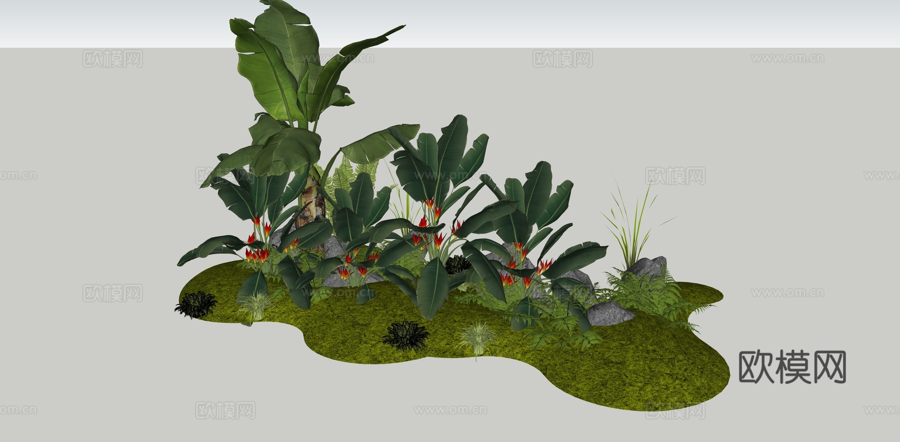 现代 芭蕉树 阔叶类植物组合 热带植物 景观造景 天堂鸟 蕨su模型