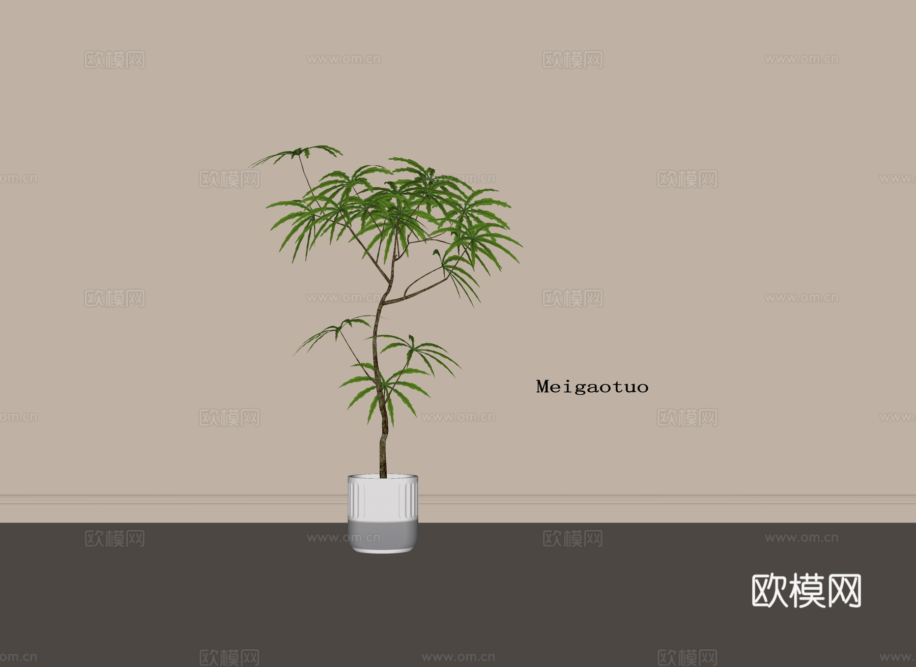 现代盆栽盆景 绿植 植物摆件su模型