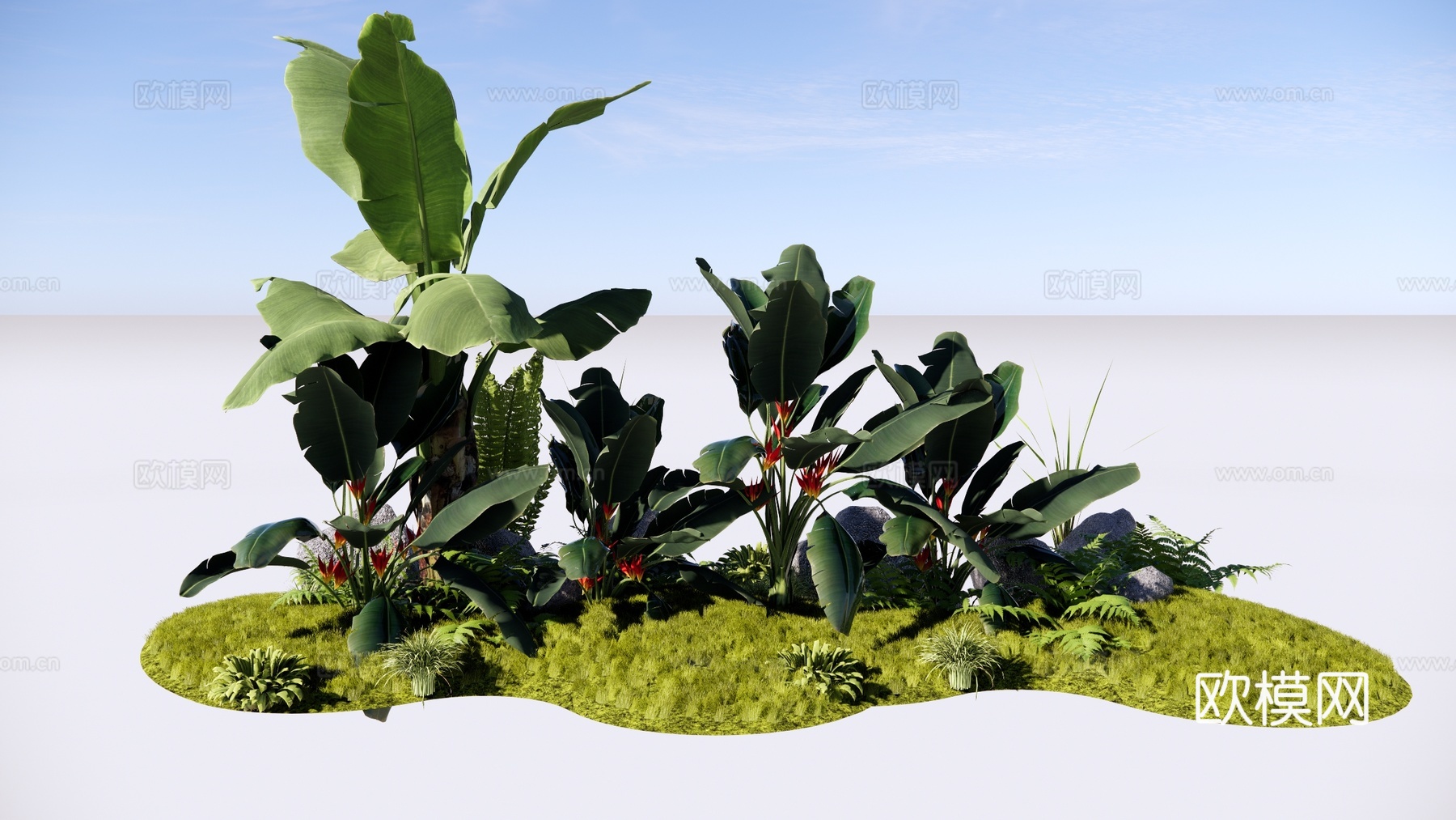现代 芭蕉树 阔叶类植物组合 热带植物 景观造景 天堂鸟 蕨su模型