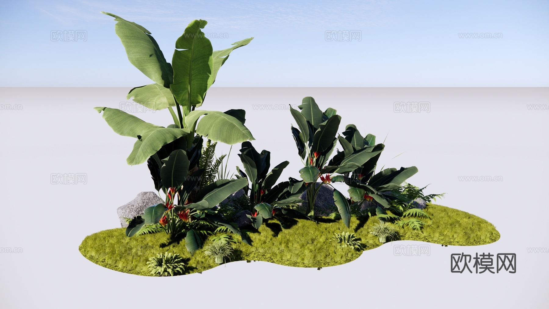 现代 芭蕉树 阔叶类植物组合 热带植物 景观造景 天堂鸟 蕨su模型