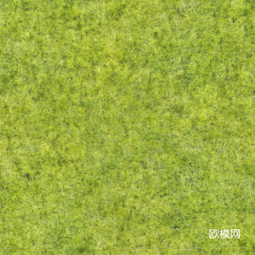 自然纹理 地面 草皮 草坪 草地