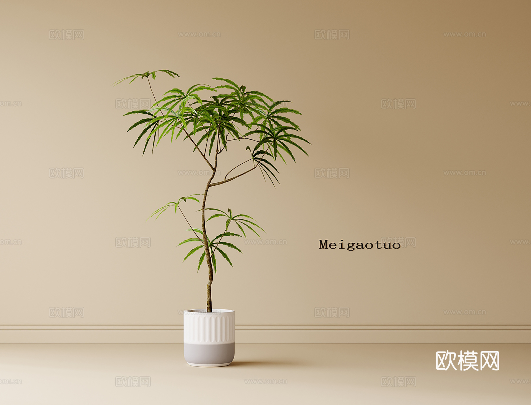 现代盆栽盆景 绿植 植物摆件su模型