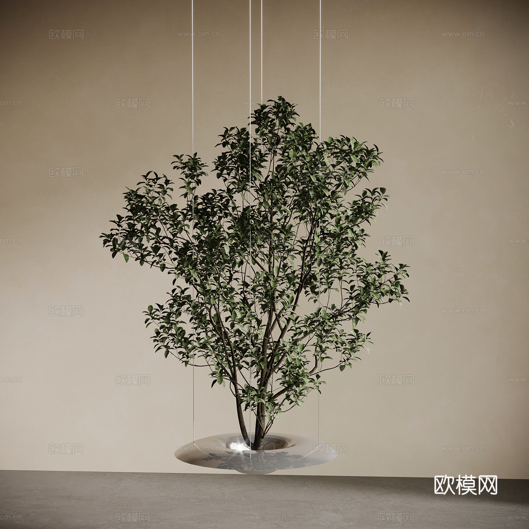 现代绿植 植物su模型