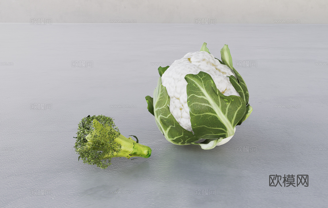 蔬菜su模型
