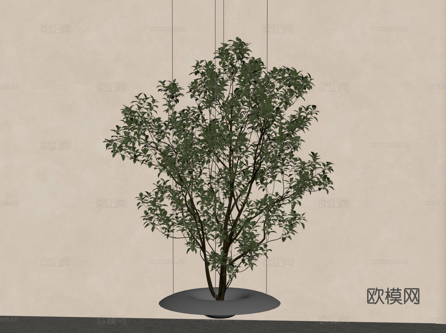 现代绿植 植物su模型