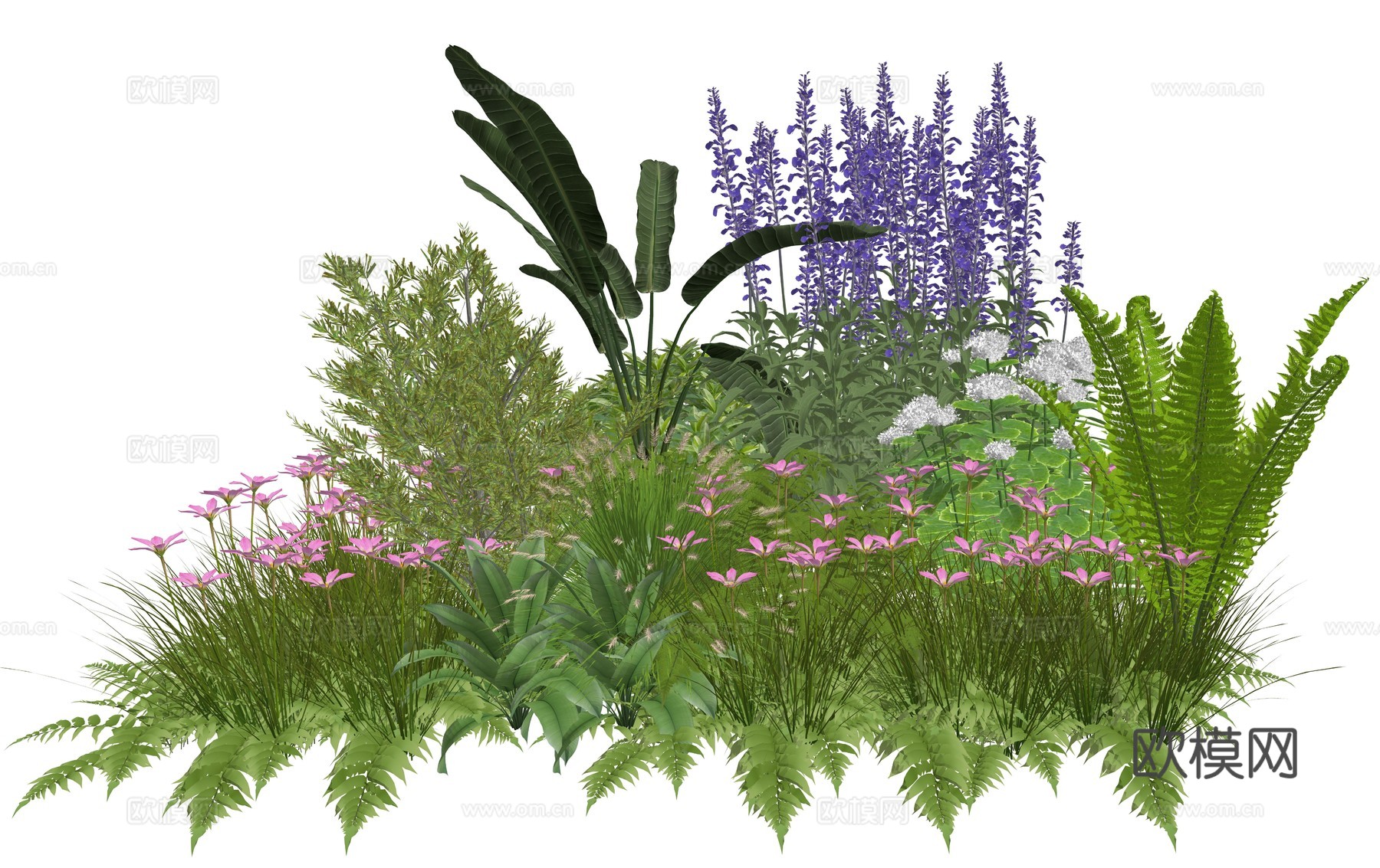 现代庭院花卉植物景观组合su模型