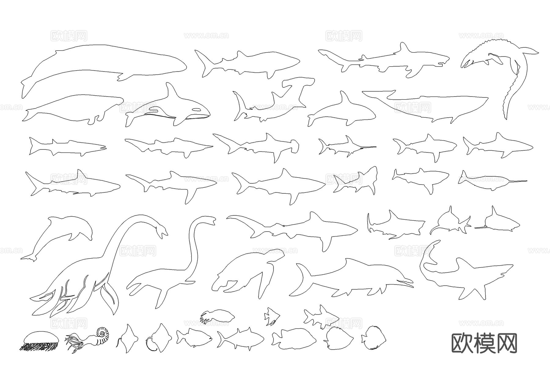 昆虫鱼海洋生物图库cad施工图