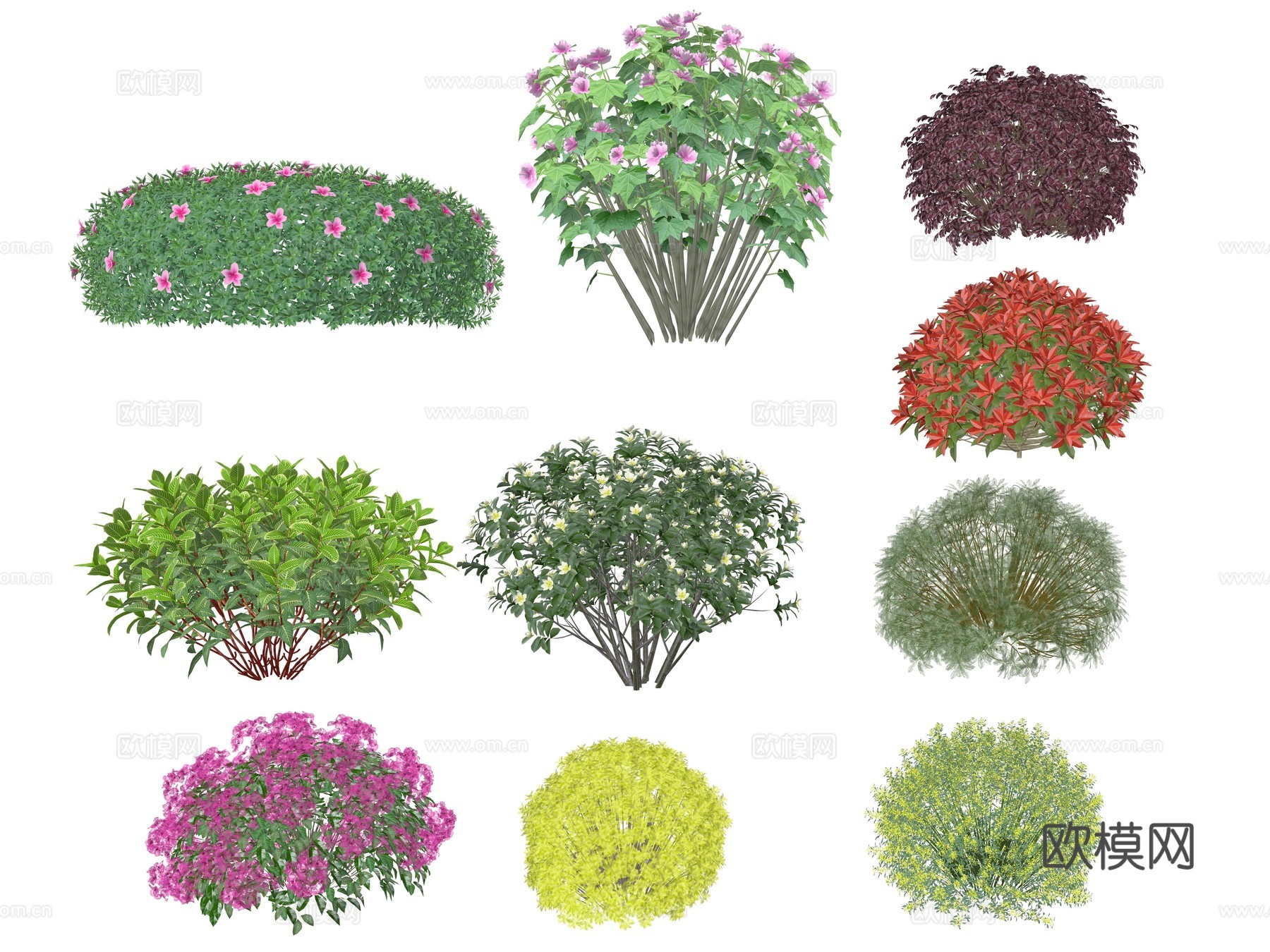 现代灌木球植物su模型