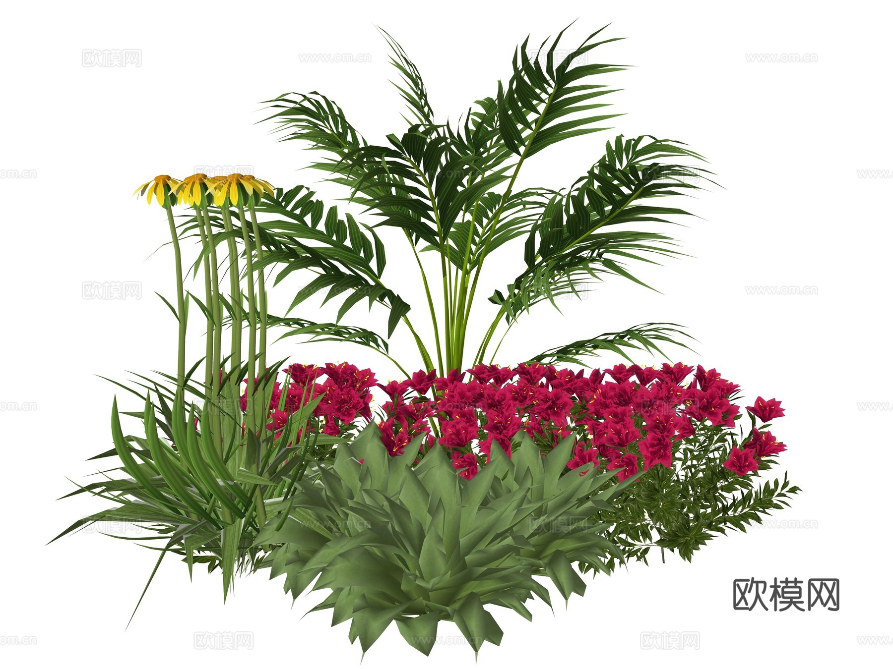 现代庭院植物组合su模型