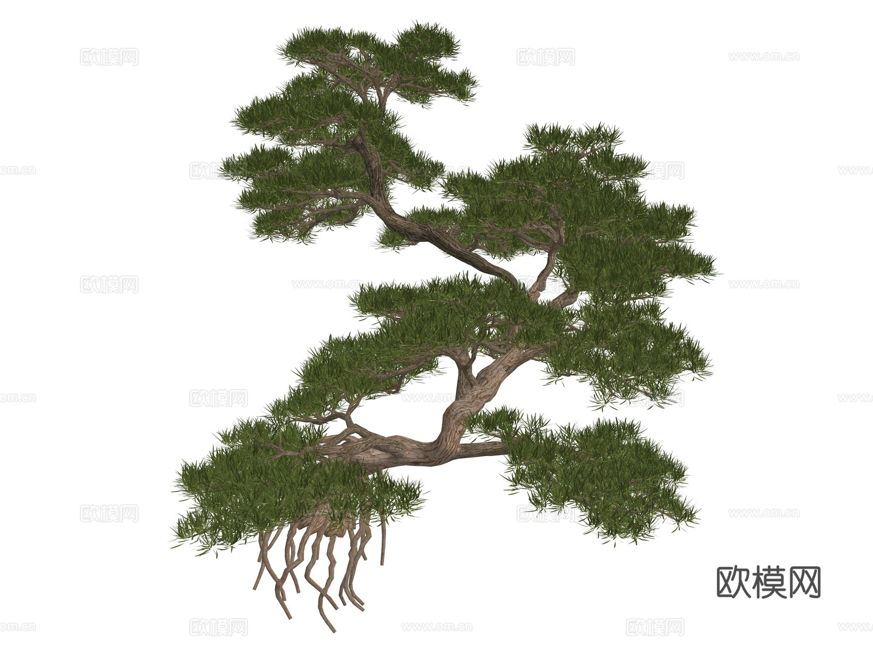 新中式造型松植物su模型