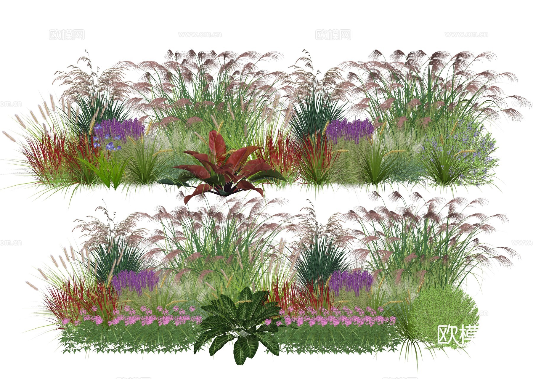 现代庭院花卉植物堆组合su模型
