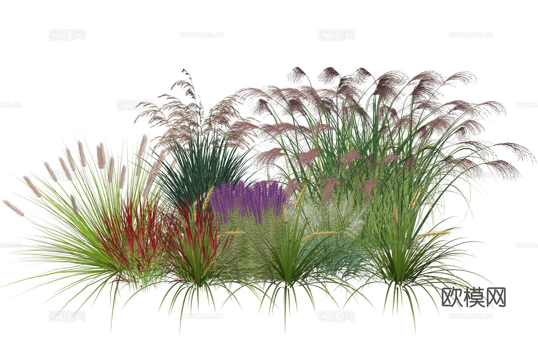 现代庭院花卉植物堆组合su模型