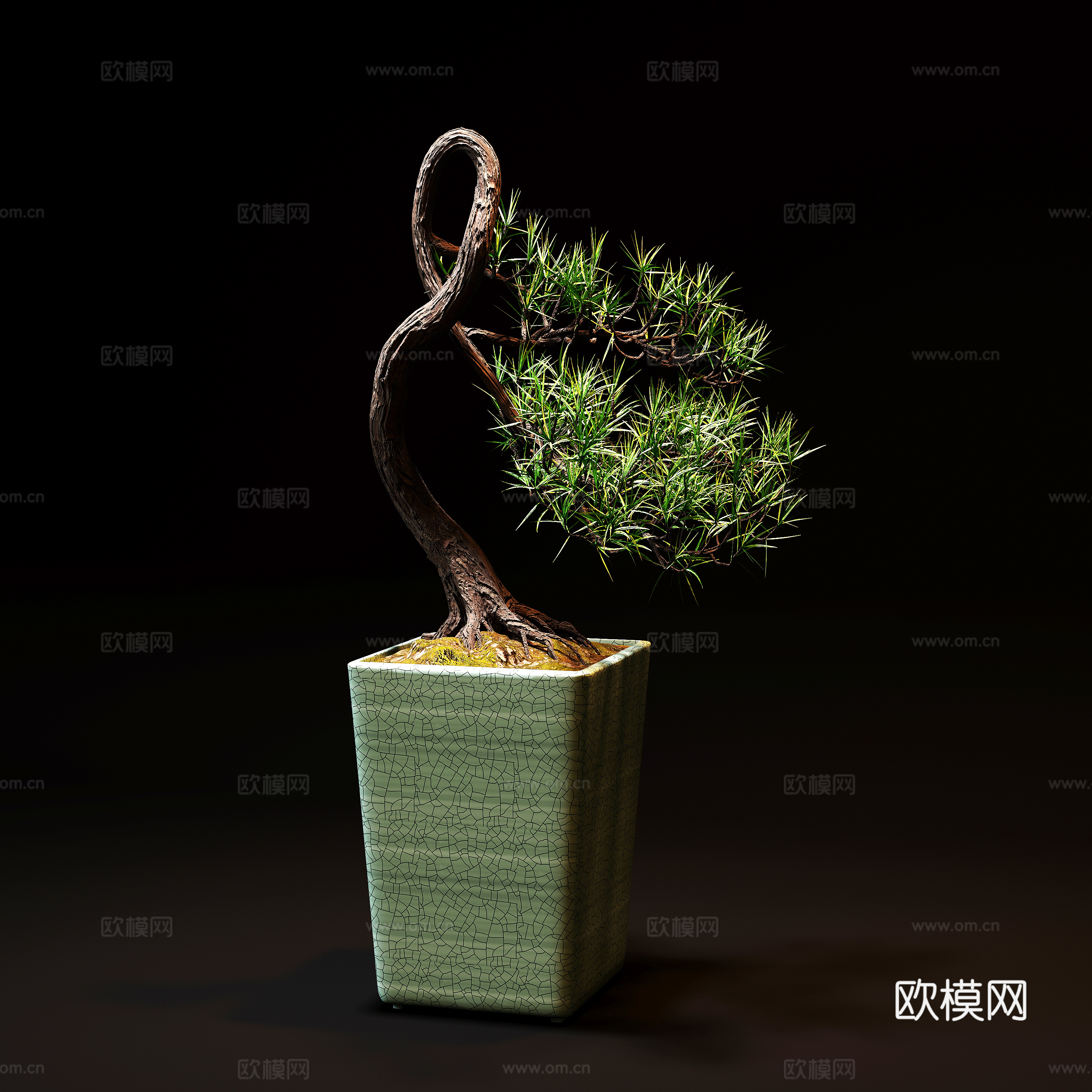 新中式松树植物盆栽免费3d模型下载