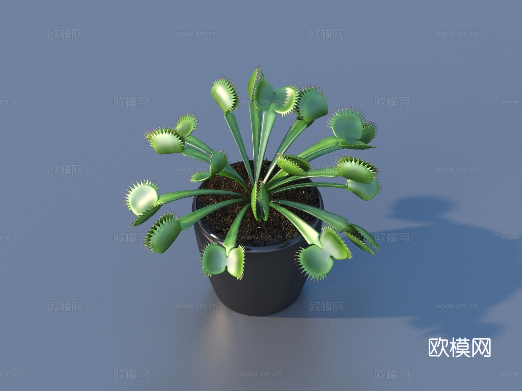 花盆 盆栽 绿植 植物3d模型下载
