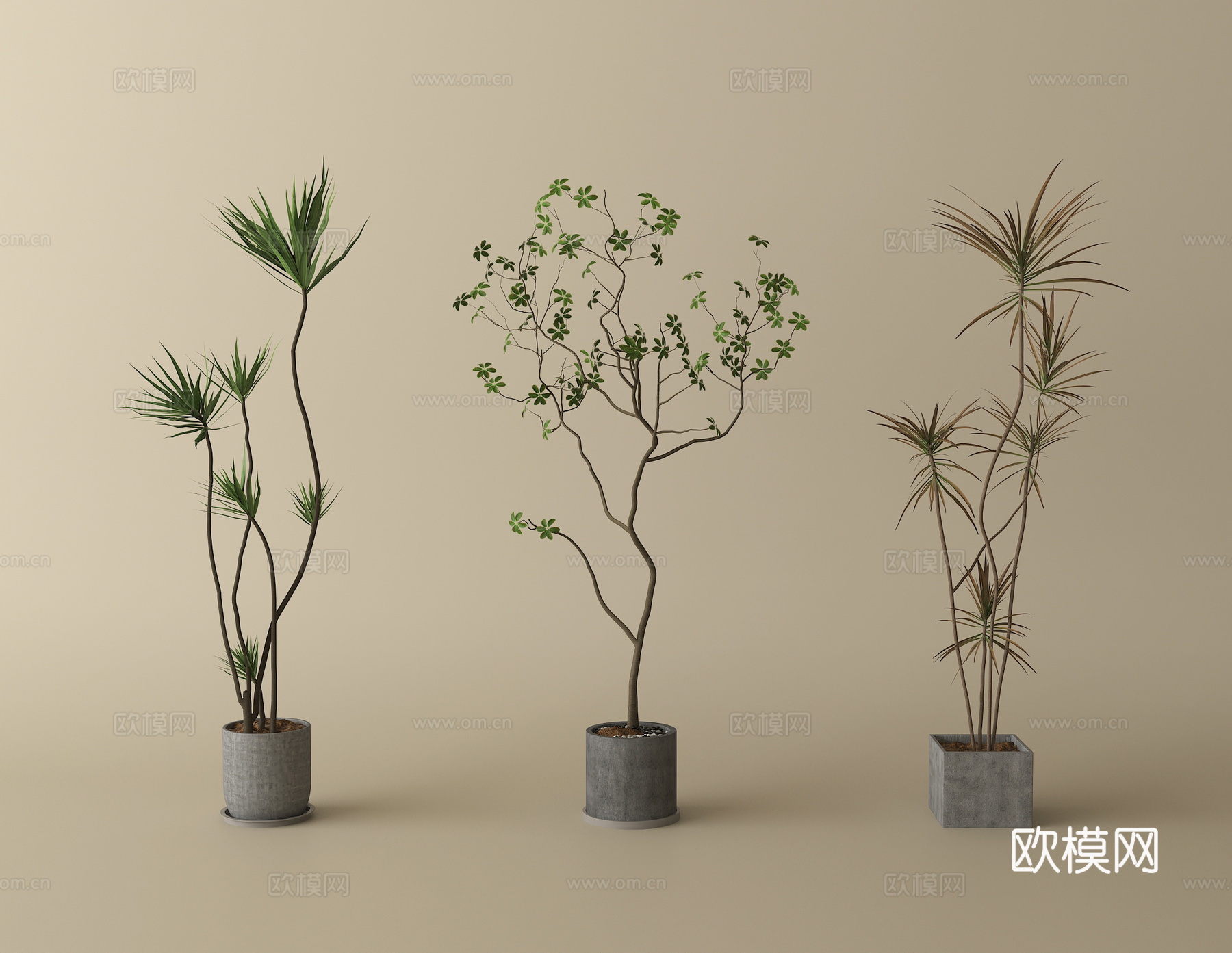 现代绿植盆栽 盆栽 盆景su模型