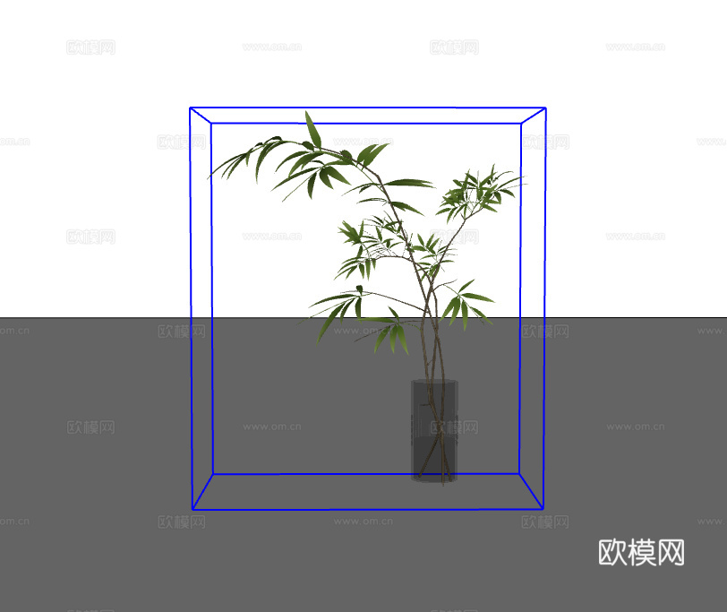 玻璃瓶绿植su模型